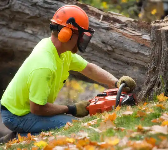 tree services Stottville